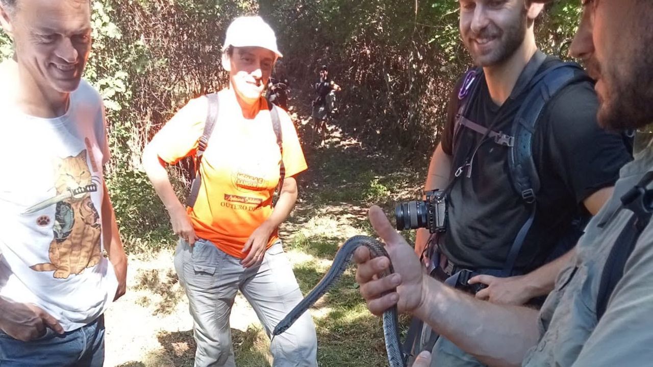 Un año negativo para los anfibios y reptiles de la sierra de O Courel