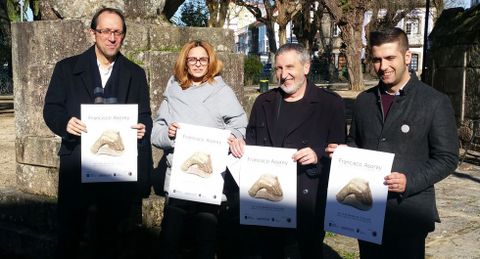 Presentación del certamen, ayer en el paseo da Calzada (Cambados)