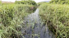 La Lagoa de Traba, hace unos meses