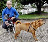 D�az critica la falta de zonas para esparcimiento de sus canes.