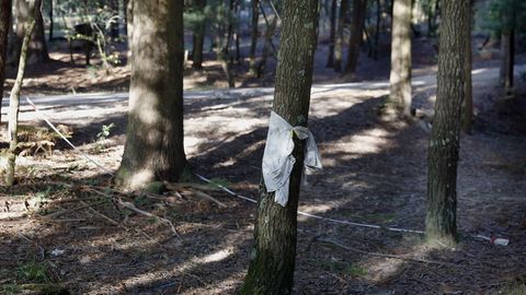 Chequeo en el entorno de la Capilla de San Ram�n de Bealo