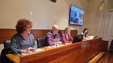 Comparecencia de la consejera de Derechos Sociales y Bienestar, Marta del Arco