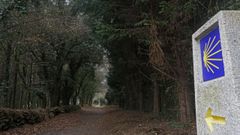 Sendero del pen�ltimo tramo del Camino Franc�s, a la altura del concello de O Pino, sin peregrinos