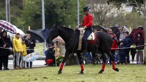 Feria caballar en las Fiestas de San Marcos 2019