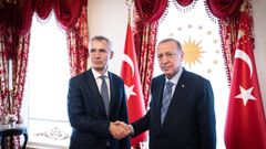 Stoltenberg y Erdogan durante la reunin mantenida entre ambos en Ankara.