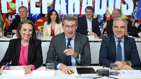 En primera fila, de izquierda a derecha, Cuca Gamarra, Alberto Nez Feijoo y Elas Bendodo. En segunda fila, Alfonso Rueda, Isabel Daz Ayuso, Alfonso Fernndez Maueco y Miguel Tellado