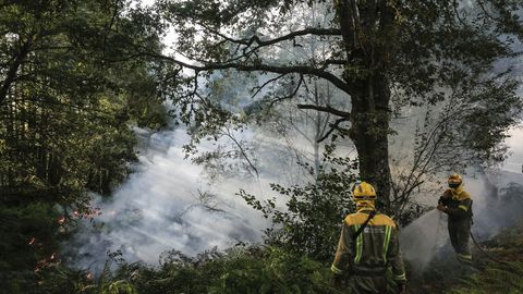 El incendio de To�n sigue activo