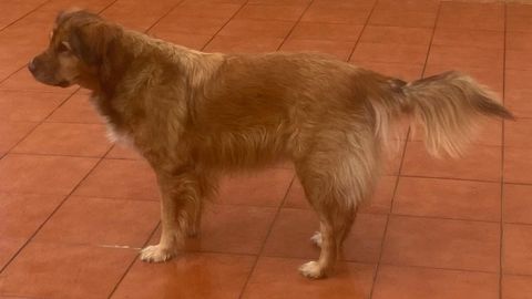 Canela es hermana de Brandy. 
