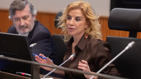 La directora del departamento de Empleo, Diversidad y Protecci�n Social de la CEOE, Rosa Santos.