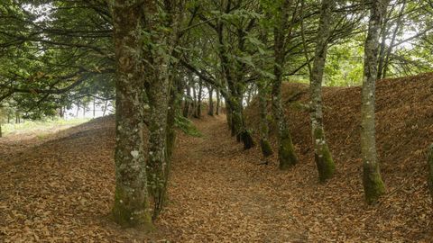 El castro tiene ahora m�s terreno de titularidad p�blica, con lo que pueden visitarse nuevas zonas