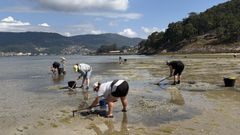 Mariscadoras trabajando en la r�a de Pontevedra.