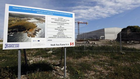 La acuicultura tiene un peso decisivo en la ocupacin del polgono industrial de Cua