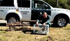 La Guardia Civil libera una partida de aves capturadas en Redondela