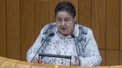 La escritora y exdiputada Pilar Garc�a Negro, el martes en el pleno del Parlamento.