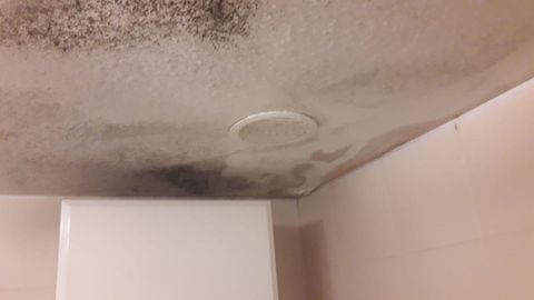 Estado en el que se encuentran varios de los pisos afectados por las humedades en los n�meros 15, 17, 19, y 21 de la calle Ribeira Sacra en Novo Mesoiro