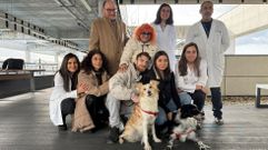 Varios servicios del CHUO y el Colegio de Veterinarios estn implicados en la iniciativa.