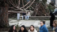 Dos j�venes, sentados en un banco delante de dos �rboles ca�dos por efecto del temporal, en Leiria (Portugal). 