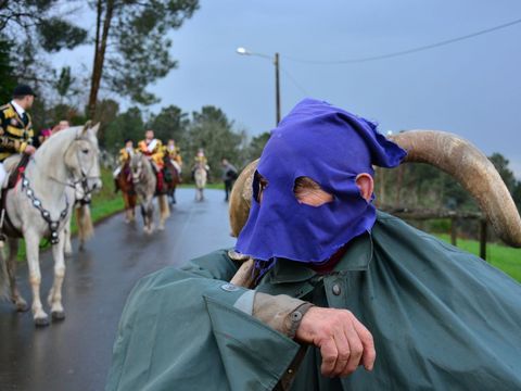 El vello dos cornos se pase� por el carnaval de Salgueiros. 
