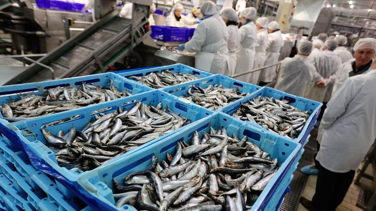 Los sindicatos anuncian cuatro días de huelga en el sector de la conserva