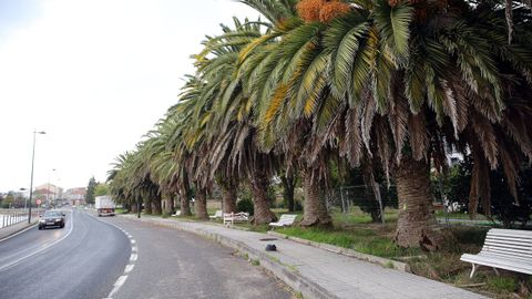 PASEO DE O ESTEIRO EN VILANOVA
