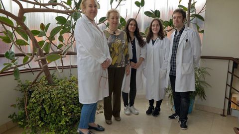 En la imagen, por la izquierda, Elena Mar�a Fern�ndez, editora del libro; M� Jes�s Ca�al Villanueva, catedr�tica de Universidad; Sandra Garc�a Granda, alumna de trabajo fin de m�ster; Luc�a Robles L�pez, alumna de trabajo fin de grado; y Alejandro Rivera Fern�ndez, doctorando, en el Campus de El Cristo (Oviedo).