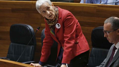La consejera de Educaci�n, Carmen Su�rez, interviene en el pleno, al lado del consejero de Sanidad, Pablo Fern�ndez Mu�iz.