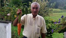 Domingo exhibe una zanahoria de 650 gramos. 
