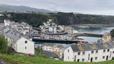 Luarca / L.luarca