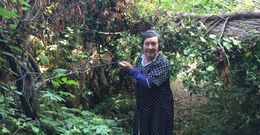 Erundina sostiene uno de los cables atrapados bajo el �rbol desde hace casi dos meses. 