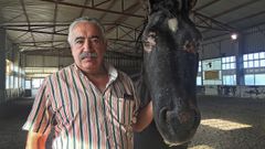 �Violeta�, la yegua quemada y casi ciega por culpa del fuego