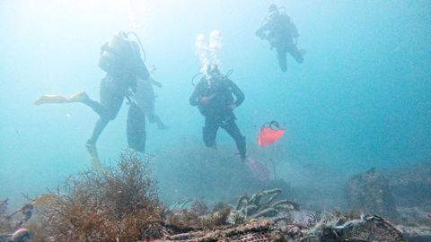 Los buzos recogen nasas abandonadas