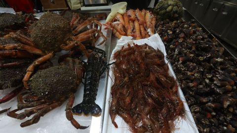 Mercado de plaza de Lugo en vspera de Nochevieja