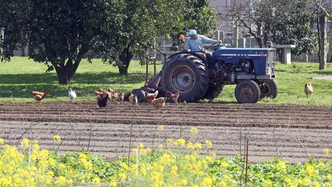 Agricultores y ganaderos gallegos empezar�n a recibir esta semana los primeros pagos de la PAC