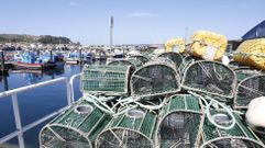 El puerto de Bueu, una de las radas que suspendi� la huelga de la bajura el domingo pasado