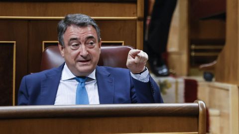 Aitor Esteban, portavoz parlamentario del PNV, en el Congreso.