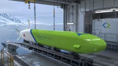 La nueva empresa realizar� sistemas de lanzamiento y recuperaci�n inteligentes, as� como la manipulaci�n de cargas complejas en veh�culos de superficie y submarinos no tripulados.