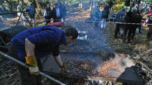 Un aspecto de una edici�n anterior de la Festa da Casta�a do Courel