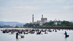 La f�brica de celulosas de Ence en Pontevedra.