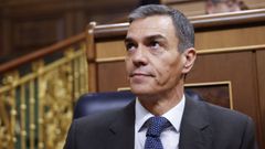 El presidente del Gobierno, Pedro Snchez, en la sesin del control al Ejecutivo celebrada el pasado mircoles.