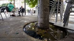 Terraza del bar afectada por la filtraci�n de excrementos.