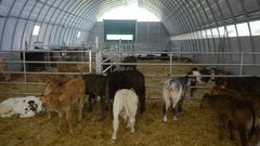 Nave de usos ganaderos construida con hierro y con lona