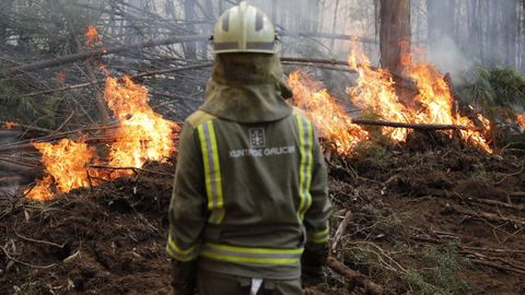 Imagen de un incendio forestal en una foto de archivo