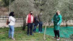 Visita guiada a un olivar de Quiroga organizada el pasado fin de semana dentro del programa tur�stico del consorcio de la Ribeira Sacra