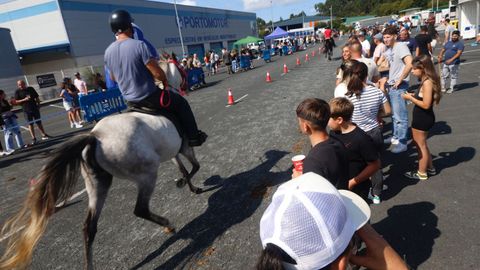 I Carreira Andadura Cidade de Narn