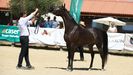 Belleza animal en estado puro y de crianza viveirense