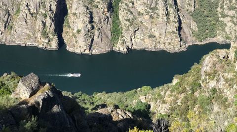 El catamarán que navega por Santo Estevo, a su paso por el cañón del Sil