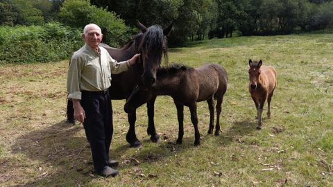 Manuel Paleo posa cun cabalo e varios poldros que ten nunha finca en Penas Agudas