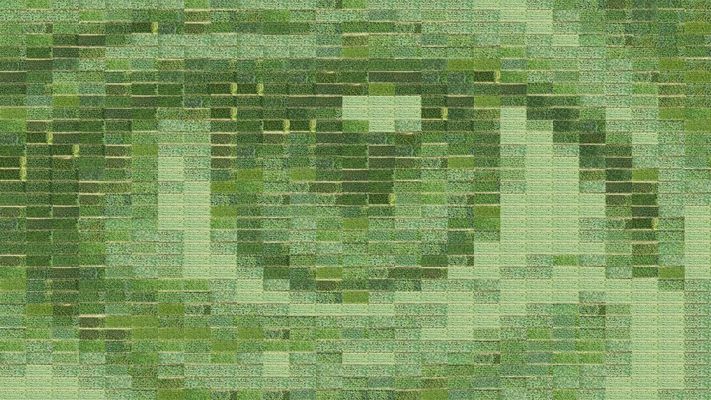 Un ojo �dibujado� en un campo de Trigo en las afueras de Toulouse (Francia).