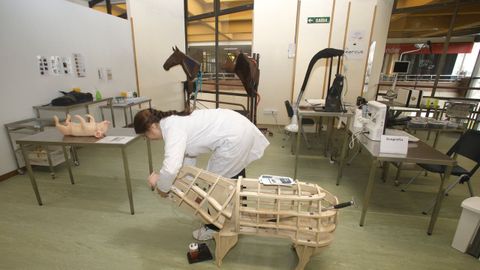 La Facultade de Veterinaria tiene un aula de habilidades cl�nicas que se ha ampliado �ltimamente