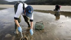 Mariscadoras en la playa de Vilarrube, en una fotograf�a de archivo